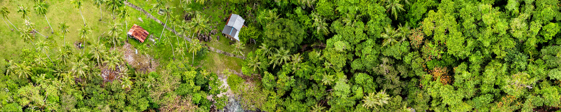 Job by Normal partner