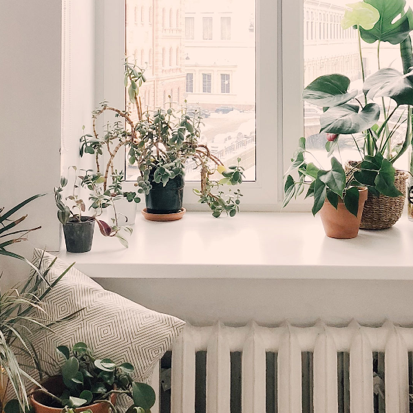 Partner 123 profile picture