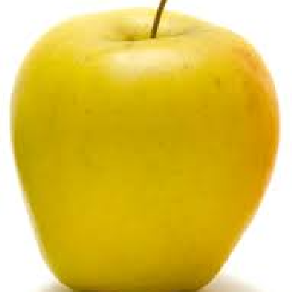 test rehan profile picture