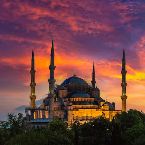 gsdfg profile picture