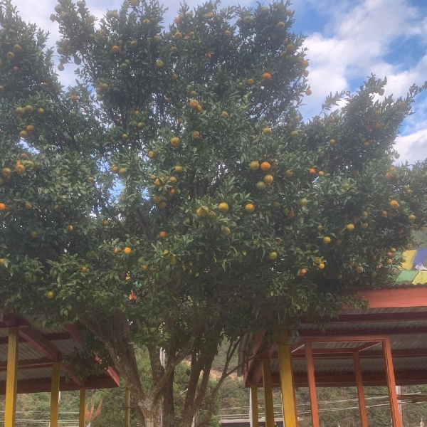 Job added by Agent with Unauthorized access